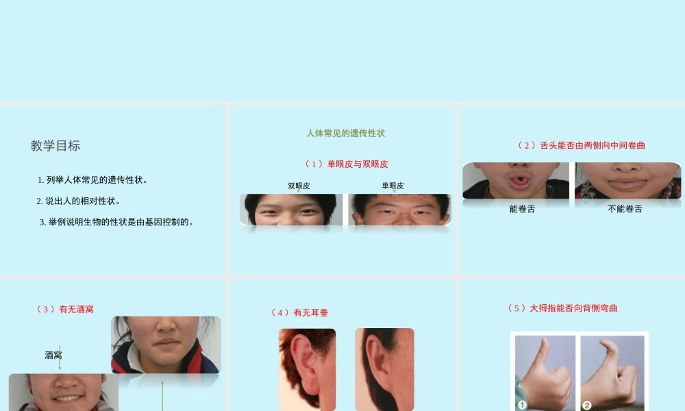 第二节人的性状和遗传