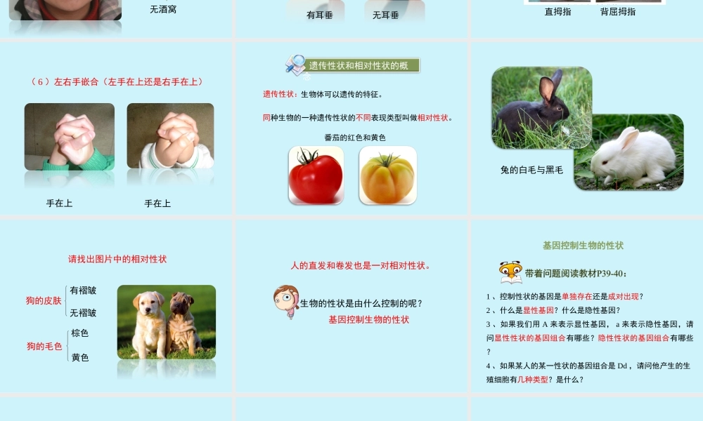 第二节人的性状和遗传