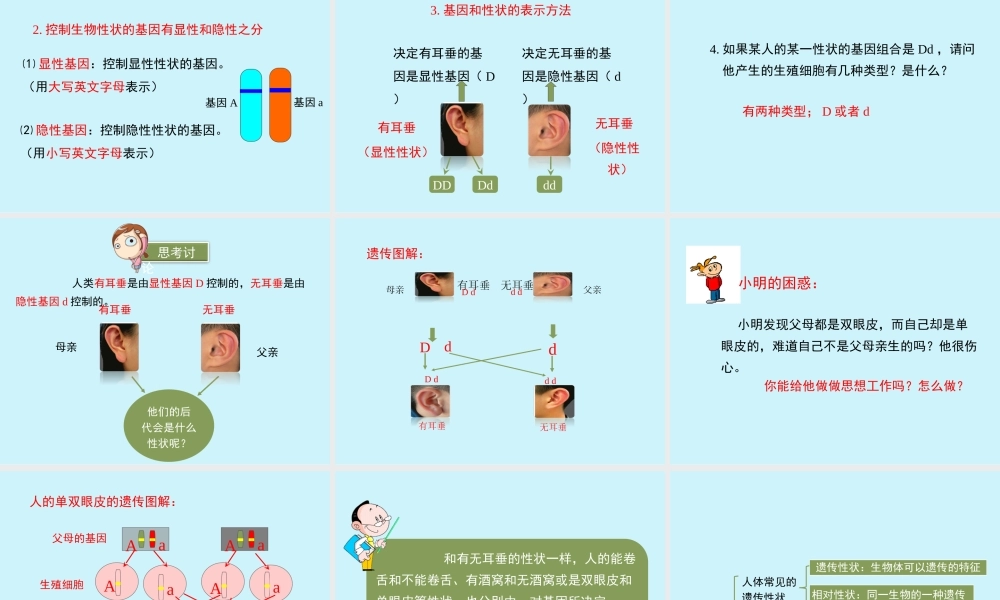 第二节人的性状和遗传