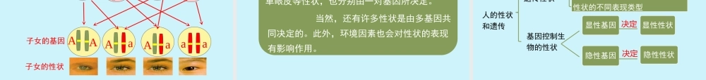 第二节人的性状和遗传