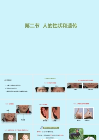 第二节人的性状和遗传