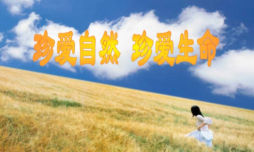 人教版_小学三年级品德与社会《认识自然》课件