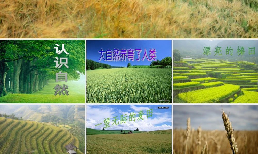 人教版_小学三年级品德与社会《认识自然》课件