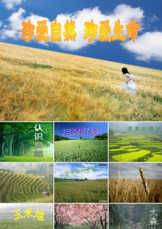 人教版_小学三年级品德与社会《认识自然》课件