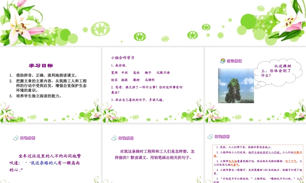 《路旁的橡树》教学课件1