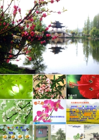 七年级语文下册 春之韵——咏春古诗词赛诗会 苏教版 课件