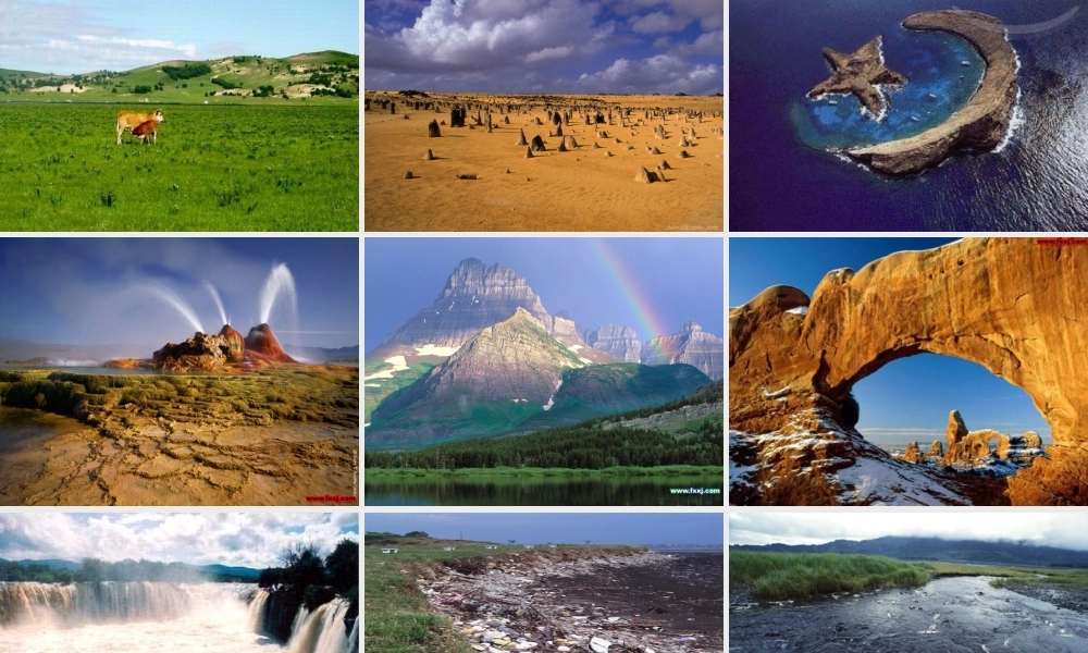 八年级语文下册 第三单元第11课(敬畏自然)课件 人教新课标版 课件