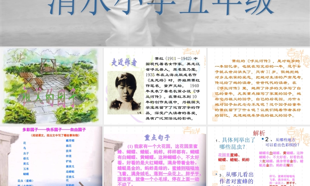 人教新课标版小学语文五年级下册第二组7《祖父的园子》PPT课件[1]