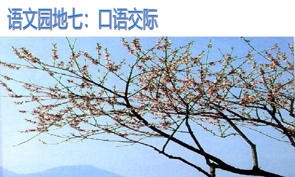 《该怎么办》课件