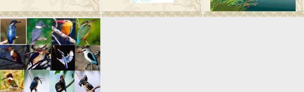 北师大版三年级语文下册第二单元《翠鸟》第二课时
