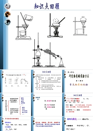 《常见物质的检验》