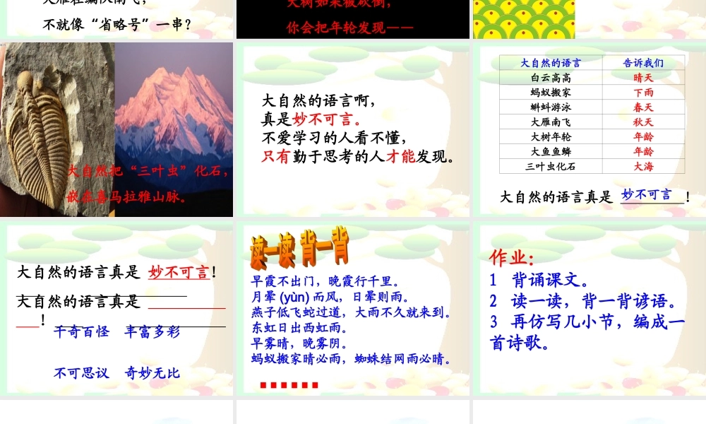 《大自然的语言》教学课件（自读感悟）