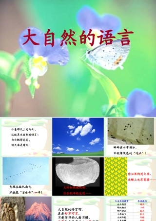 《大自然的语言》教学课件（自读感悟）