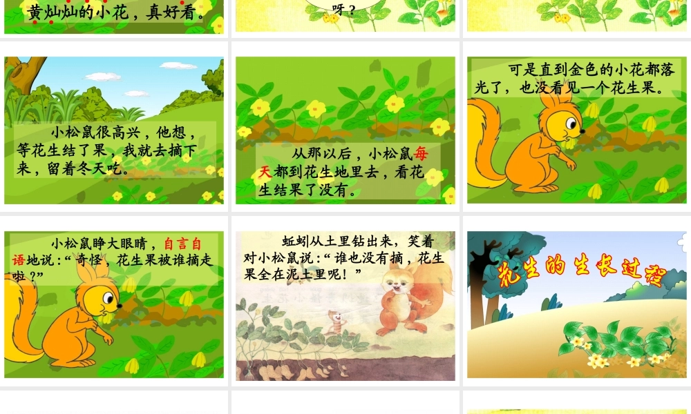《小松鼠找花生》教学课件