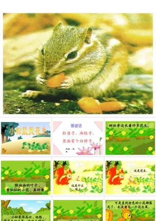 《小松鼠找花生》教学课件