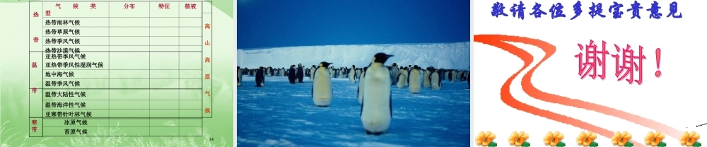地理世界主要气候类型课件