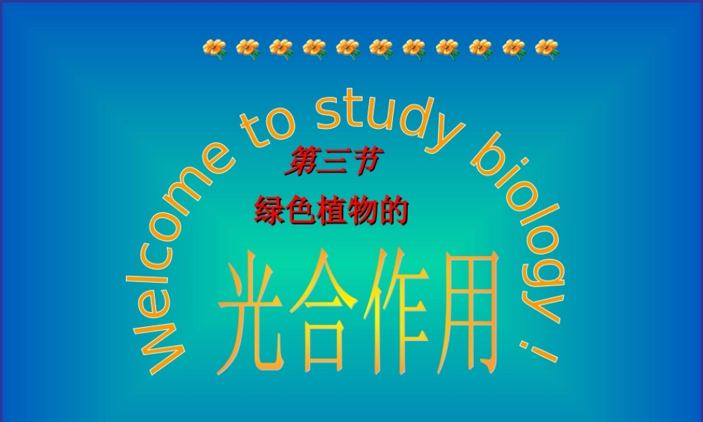 光合作用2 七年级生物第一章 光合作用课件