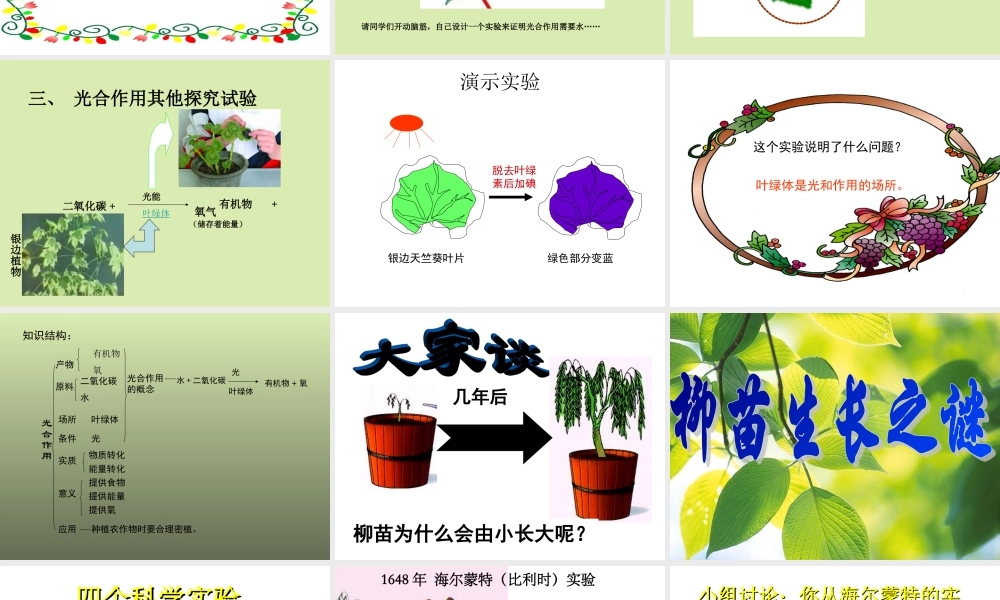 光合作用2 七年级生物第一章 光合作用课件