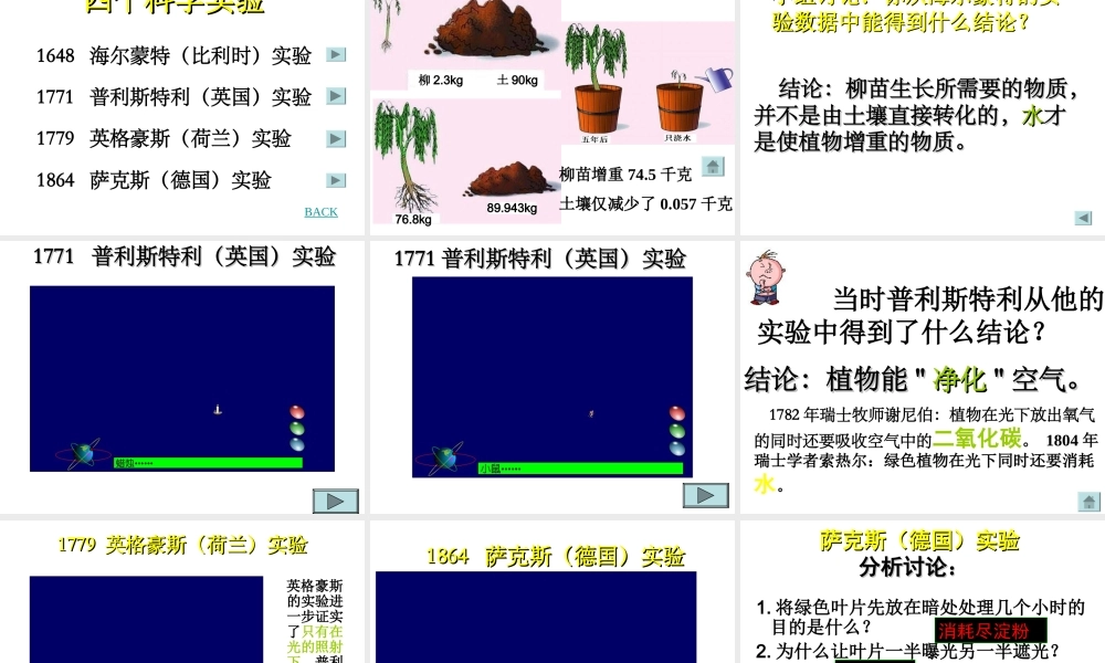 光合作用2 七年级生物第一章 光合作用课件