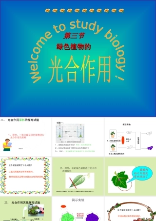 光合作用2 七年级生物第一章 光合作用课件