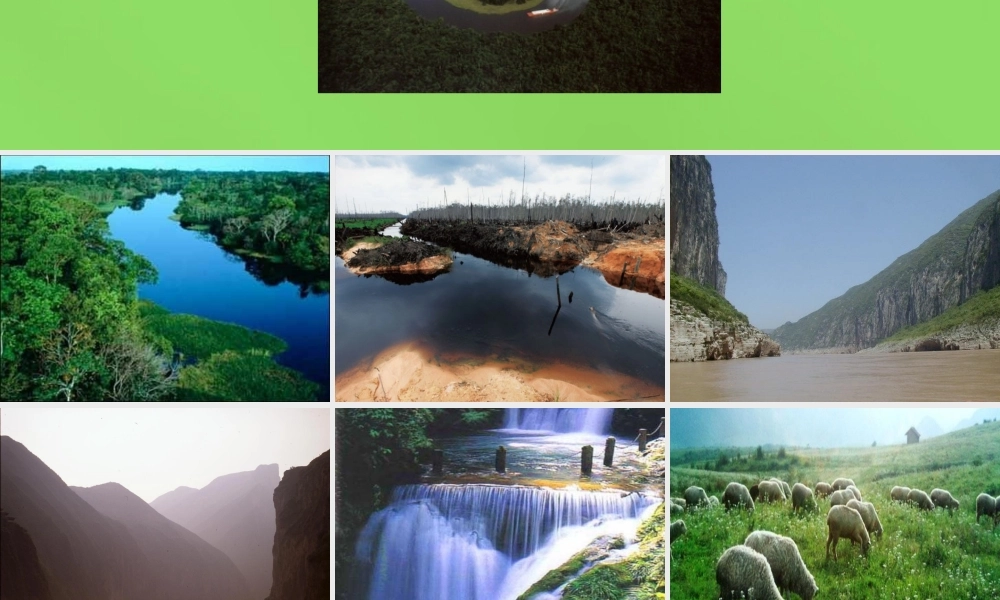 八年级语文上册 18 雨林的毁灭—世界性灾难课件 语文版 课件