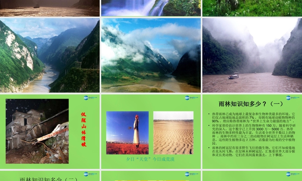 八年级语文上册 18 雨林的毁灭—世界性灾难课件 语文版 课件
