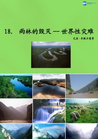八年级语文上册 18 雨林的毁灭—世界性灾难课件 语文版 课件
