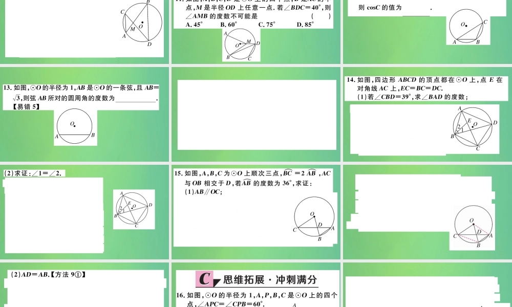 九年级数学下册 第三章 圆 34 圆周角和圆心角的关系 第1课时 圆周角和圆心角的关系习题讲评课件 (新版)北师大版 课件