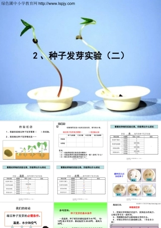 种子发芽实验(二)