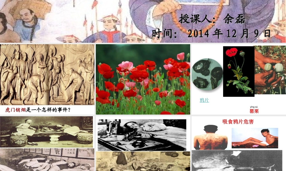 《虎门销烟》课件