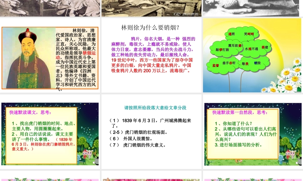 《虎门销烟》课件