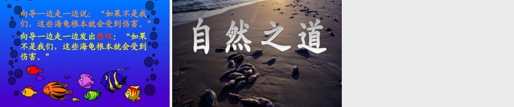 《自然之道》课件 (4)