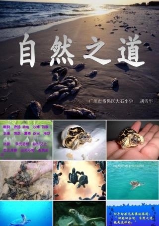 《自然之道》课件 (4)
