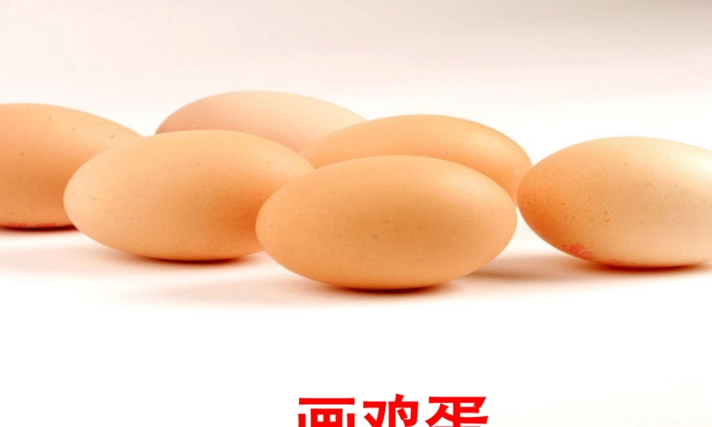 《画鸡蛋》教学课件（课文讲解）