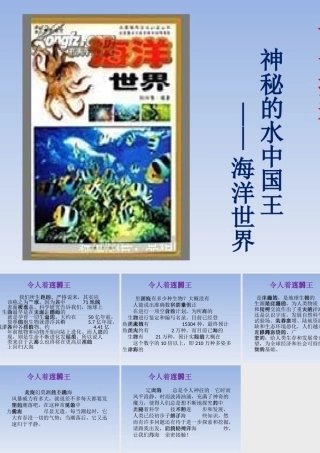 海洋世界读书推荐