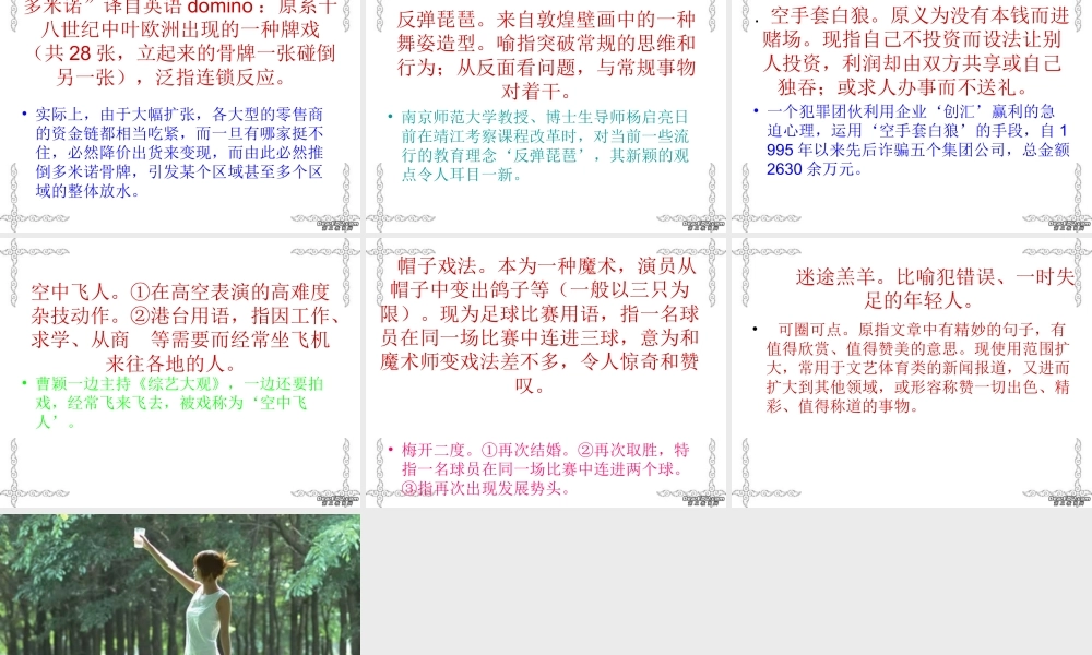 常用新成语 新课标 人教版 课件