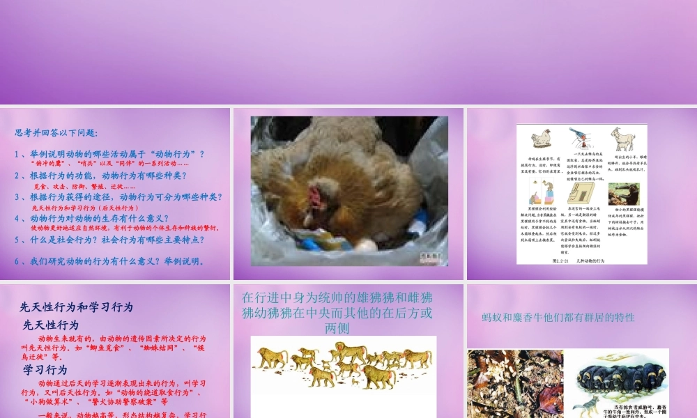 七年级生物上册 2.2.4(动物的行为)课件 (新版)济南版 课件