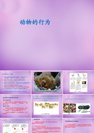 七年级生物上册 2.2.4(动物的行为)课件 (新版)济南版 课件