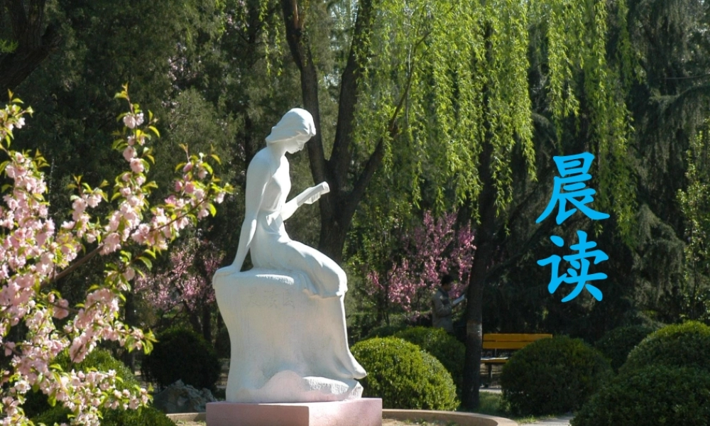 《晨读》课件-1