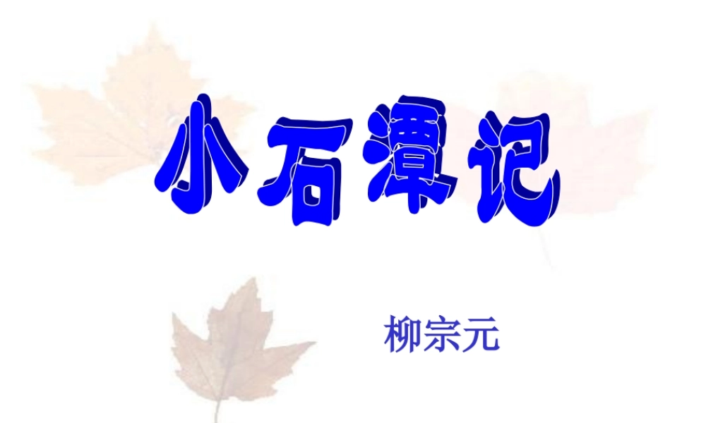 小石潭记 (5)