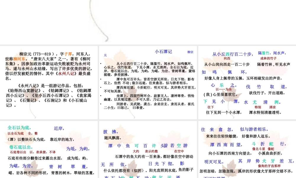 小石潭记 (5)