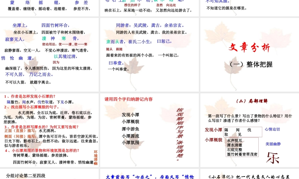 小石潭记 (5)