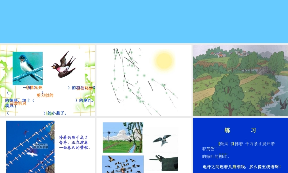 《燕子》教学PPT课件