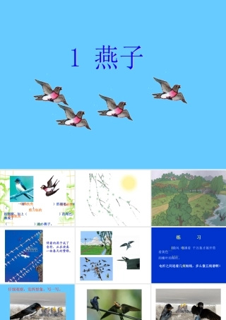 《燕子》教学PPT课件
