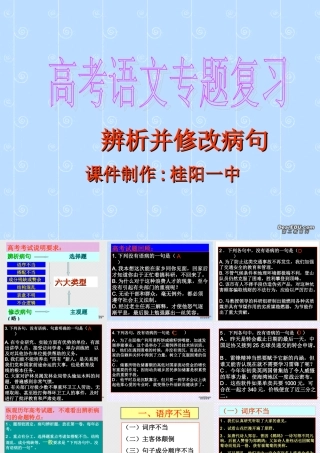 人教版湖南省文学常识检测高考语文专题复习 语病辨析和修改 试题