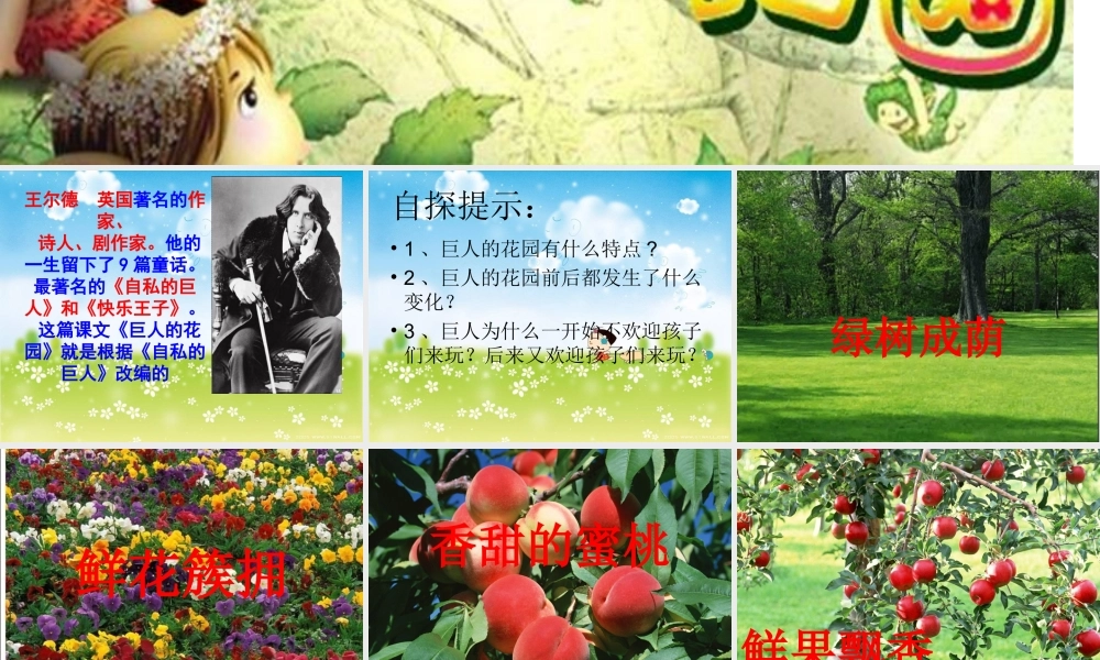 巨人的花园项金丛