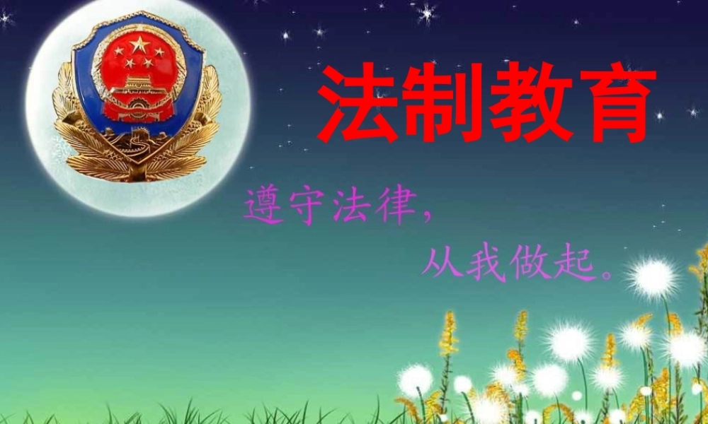 小学生法制教育主题班会