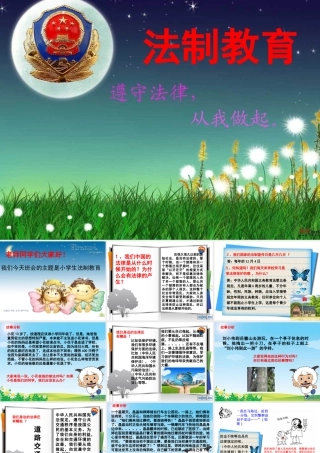 小学生法制教育主题班会