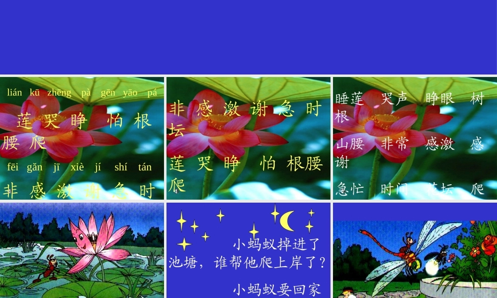 小学一年级语文下册第15课夏夜多美PPT课件