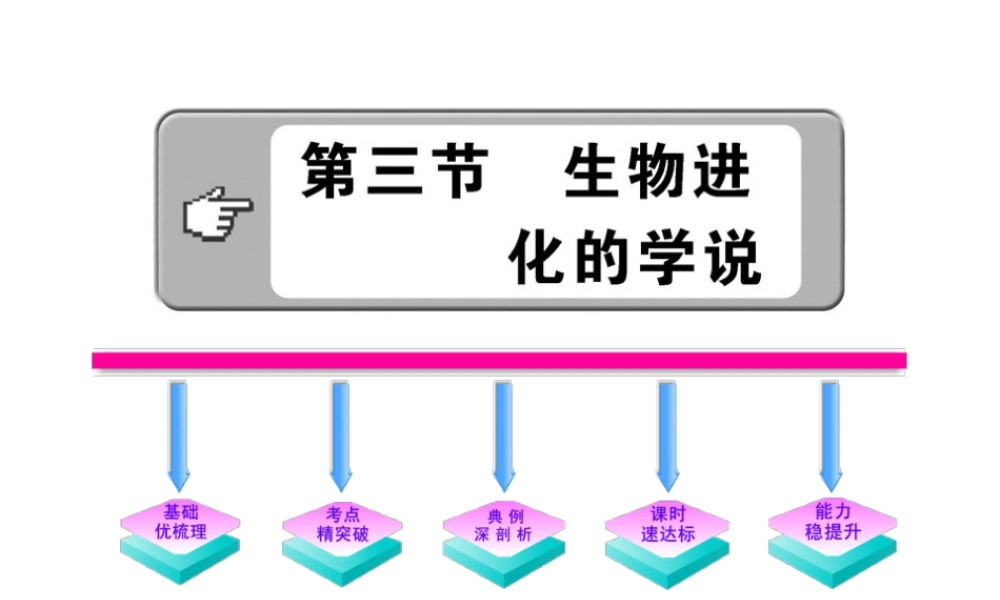 《第三节-生物进化的学说》课件6